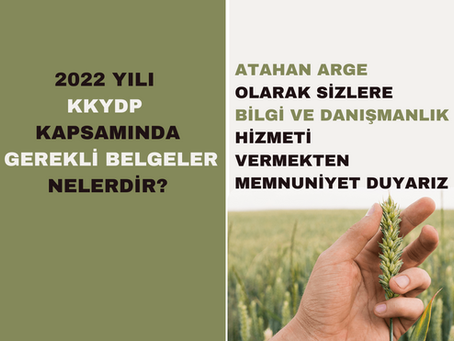 KKYDP kapsamında hibe desteği başvurusunda gerekli belgeler nelerdir?