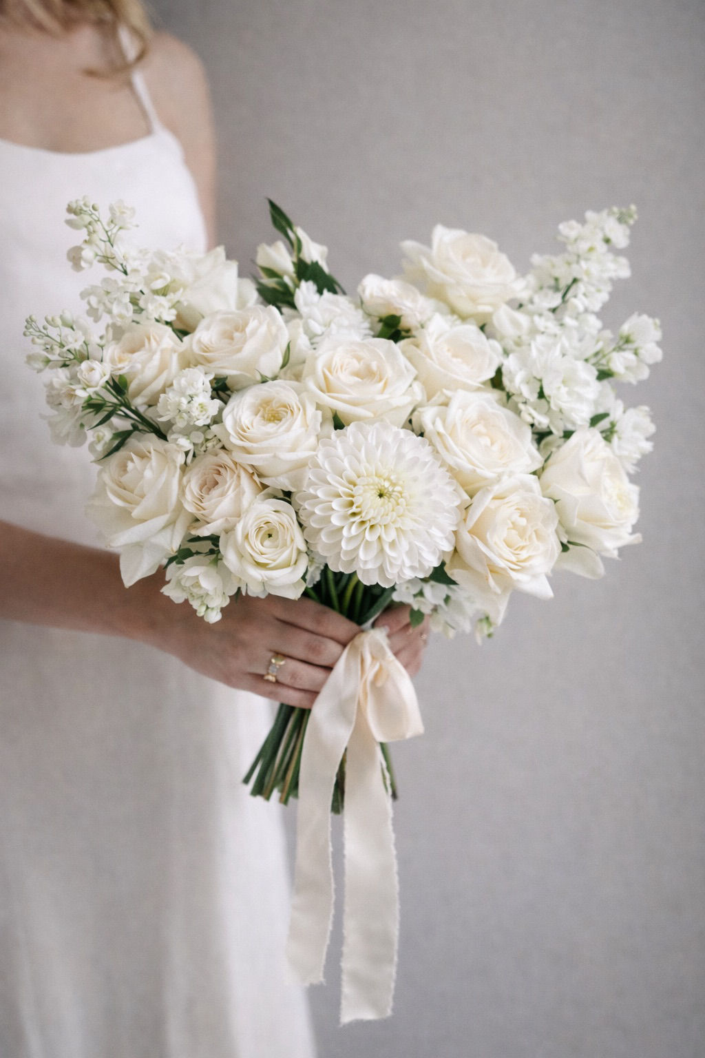 Pure Ivory Collection