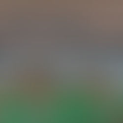 Home | TwoRock Union School