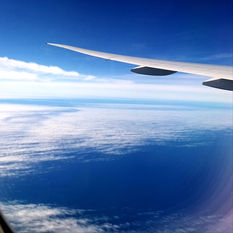 ¿COMO ES LA COMIDA QUÉ SIRVEN EN LOS AVIONES?