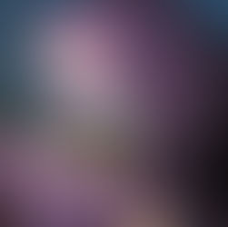 UNA NOCHE CON GODZILLA