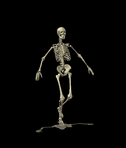 esqueleto corriendo.gif