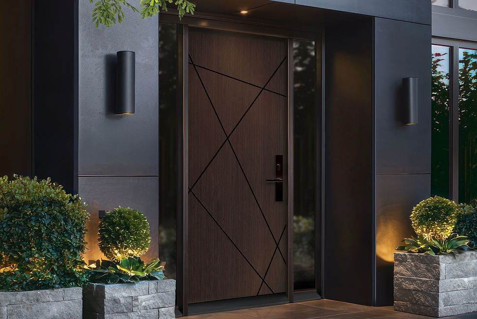 Modern Doors