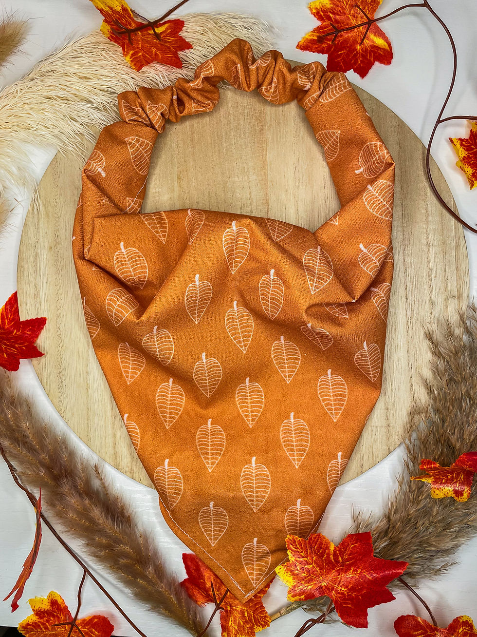 Seasonal Autumn Bandanas