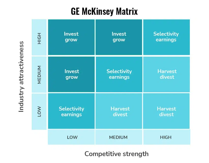 ¿Qué es la matriz de McKinsey?