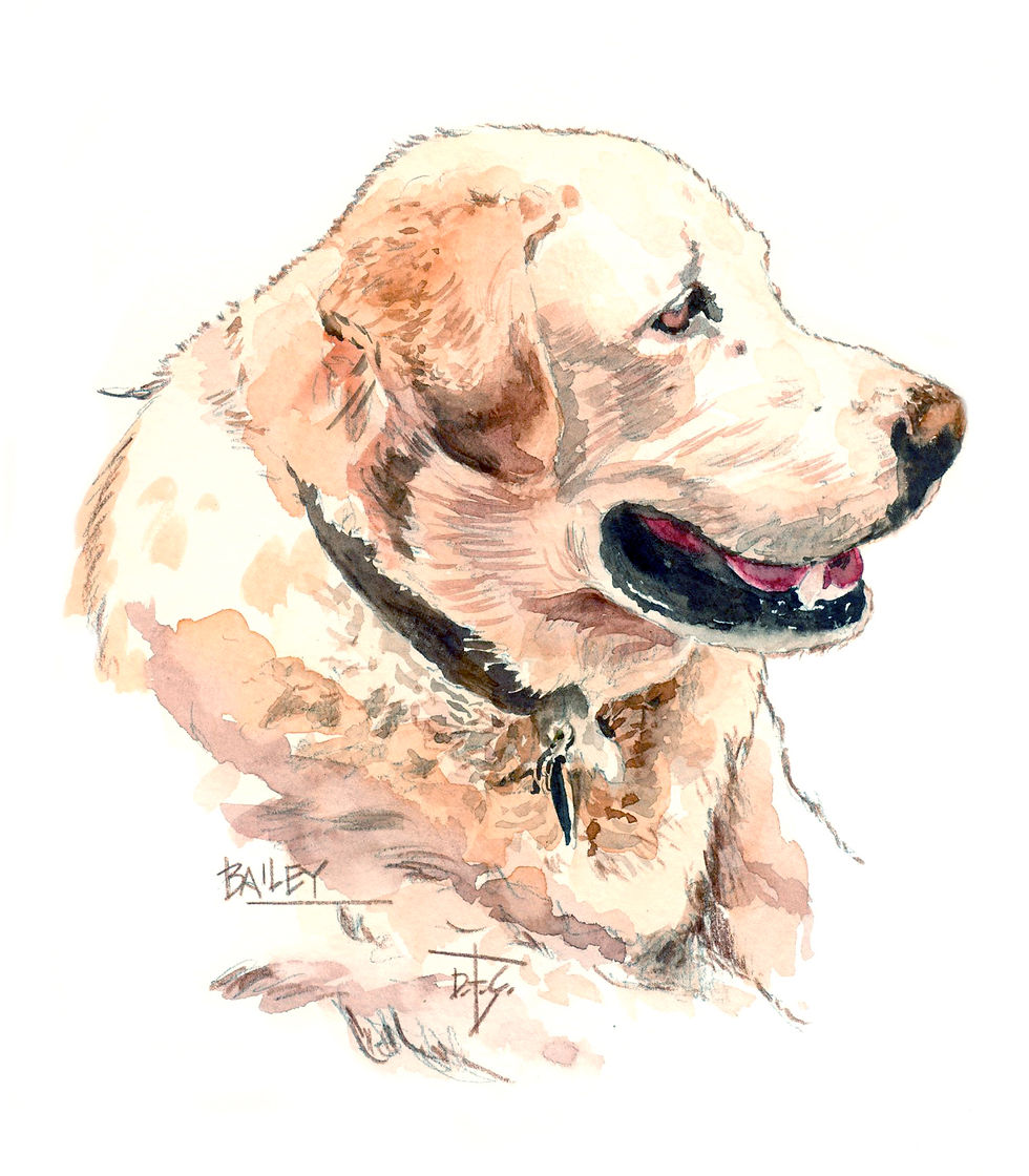 Bailey