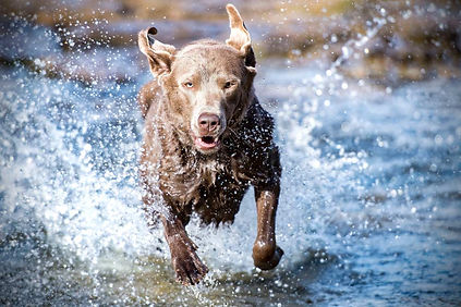 17.-Main-Image.webp