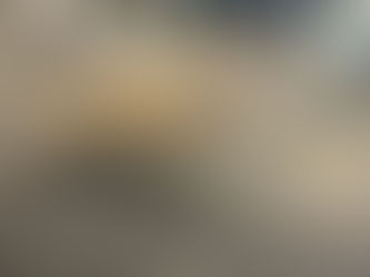 デボンレックスお迎え