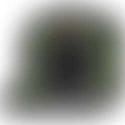 Mi camino en Vigia: Eloísa Loeza