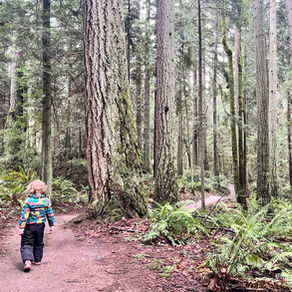 Toddler hiking on a trail in the forest.