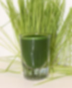 Wheatgrass Shot