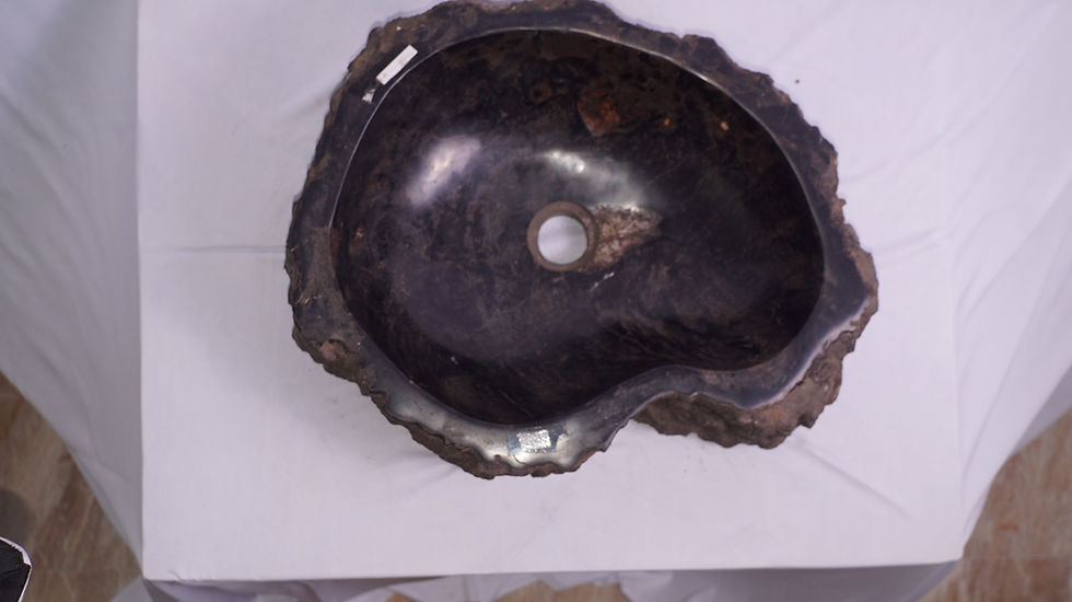 サムネイル： Wash Basin Petrified Wood Fossil Black Top View