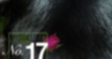 No. 17 Civet Chypre