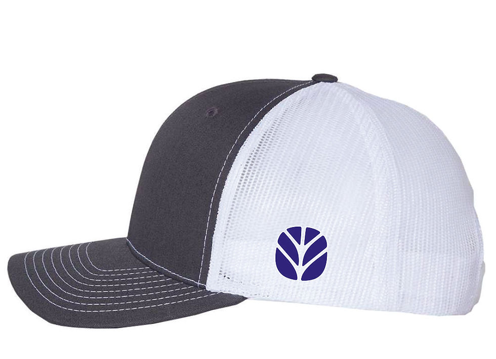 Thumbnail: PEABUDY'S Richardson  112 Embroidered cap