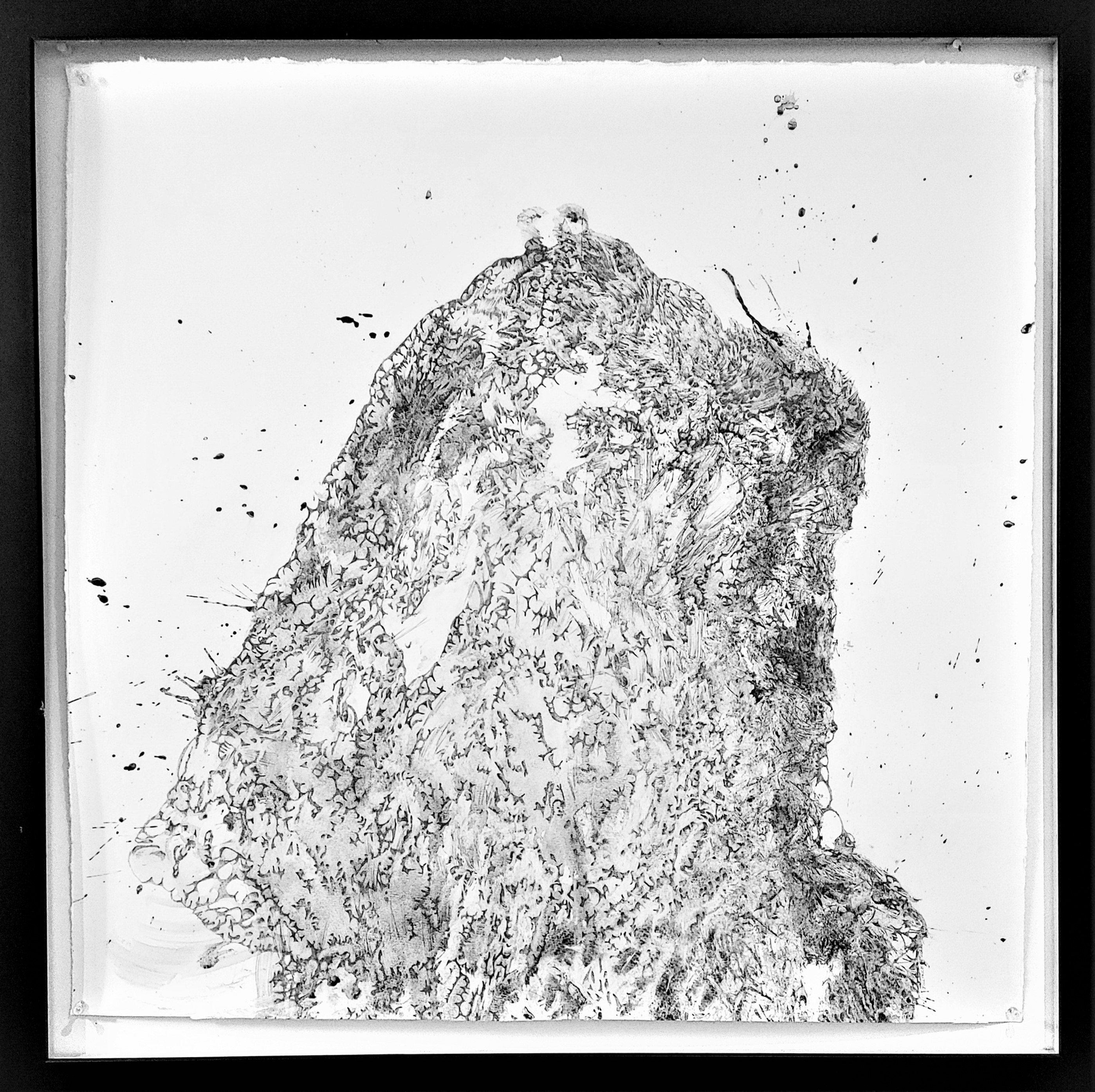 Material Impression xiii