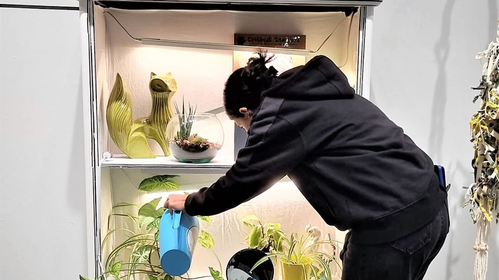 Georgian College's Museum Studies cohort member looking after the plants in UNmaking the F