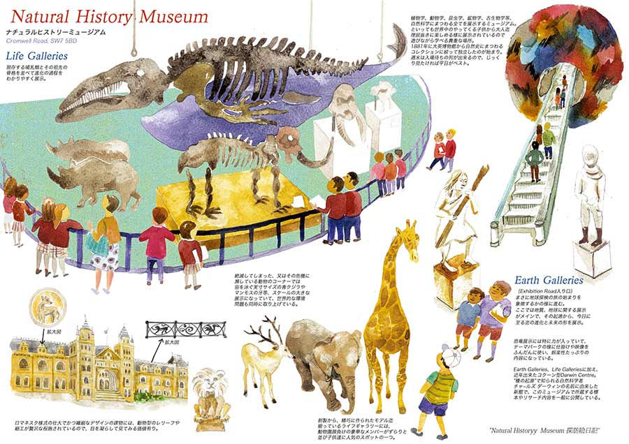 naturalhistory.jpg