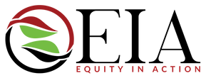 Equity In Action Logo