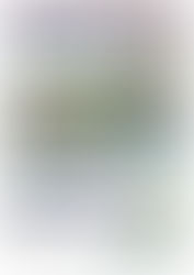 2026.4 蘆洲館課表