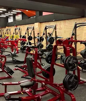 PANATTA 義大利器材.webp