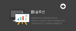 BI솔루션