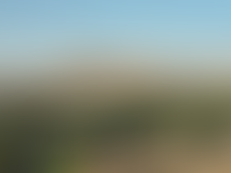 Forty years ago, a boy ate falafel in his hometown in Kerman province in southeast Iran