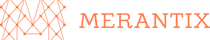 Logo #1 Merantix (SHARED) 170313-3.png