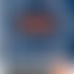 Christmas Book Catalogue out NOW! 