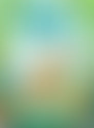 Book Signing Tues 2nd August 10.30-11.30am 