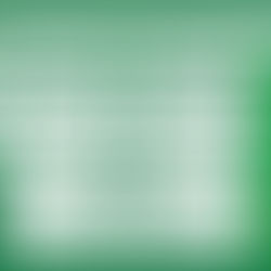 8ª Semana do Tempo Comum - Segunda-feira