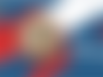 Nossa Senhora da Imaculada Conceição, nossa baluarte