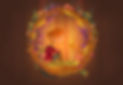 Yellow-Bird.jpg