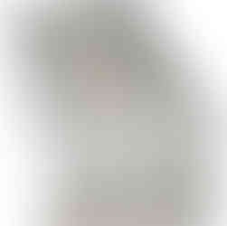 Prestige BBQ Islands