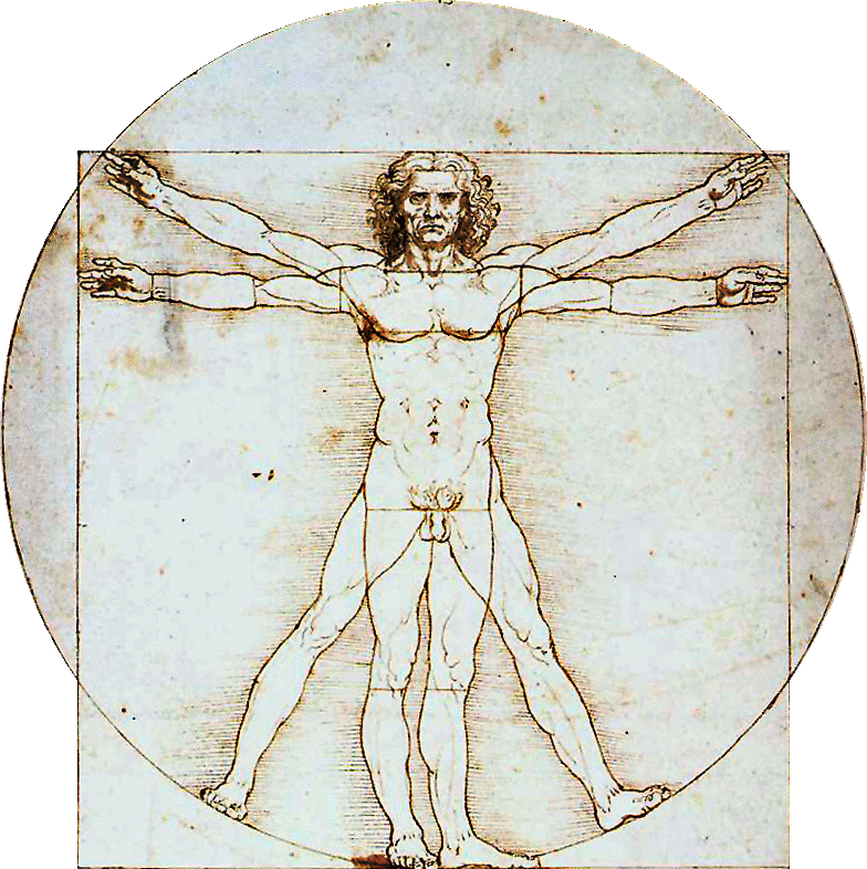 Vitruvian_particular.gif