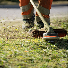 cutting weeds and grass