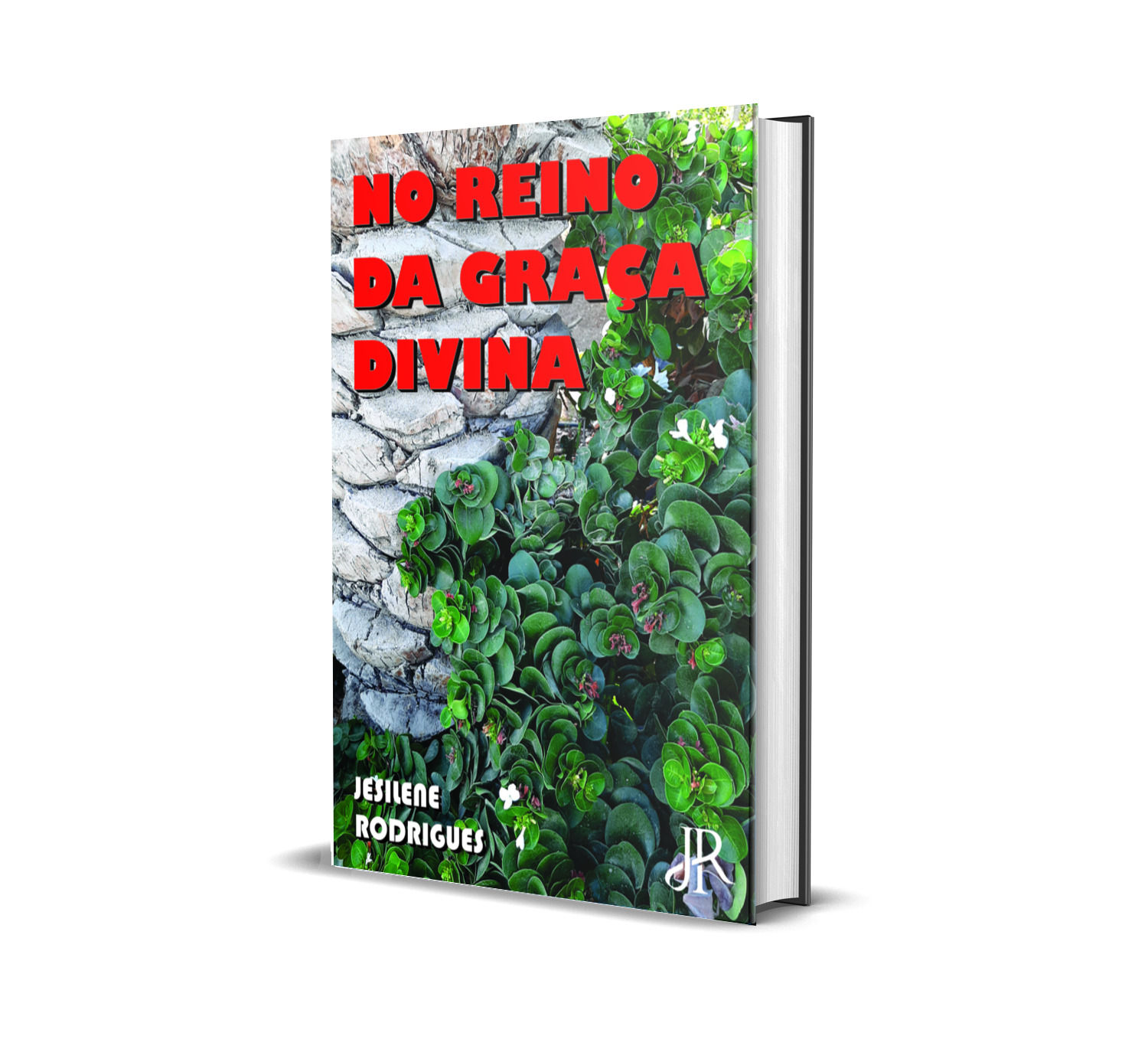 NO REINO DA GRAÇA DIVINA