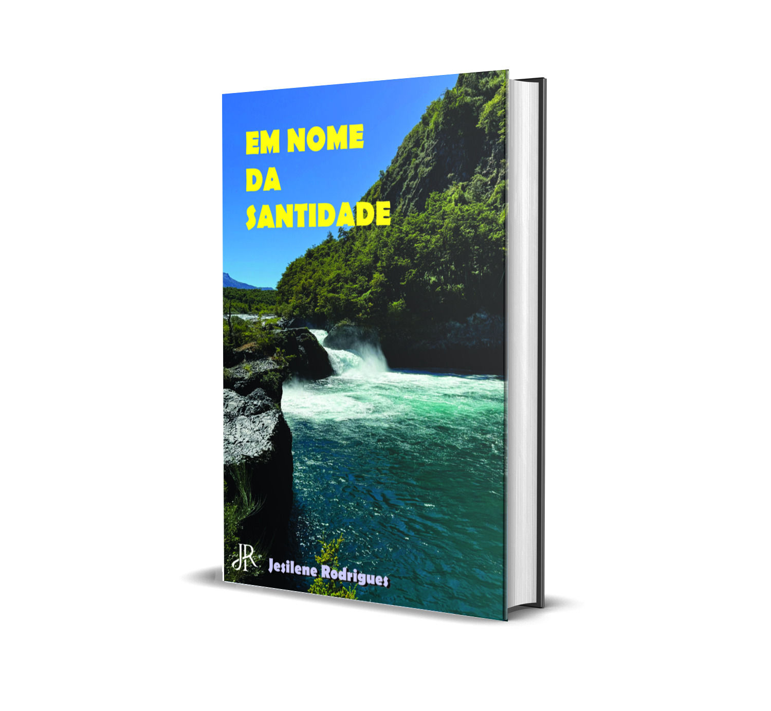 EM NOME DA SANTIDADE