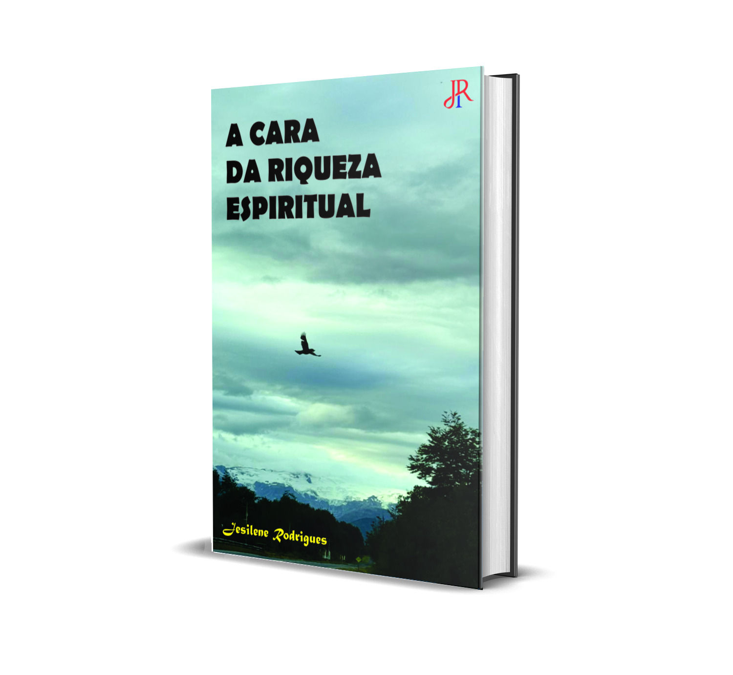 A CARA DA RIQUEZA ESPIRITUAL
