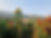 IMG_4732.jpeg