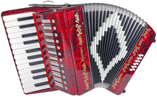 メモリー seldby SofiaMari SM2512 Deluxe Entry-Level Accordion Outfit, 25 Key, 12
