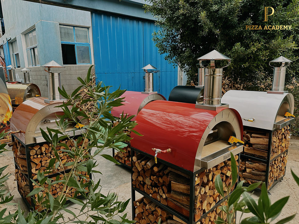 Thumbnail: Pizza Party Ovens