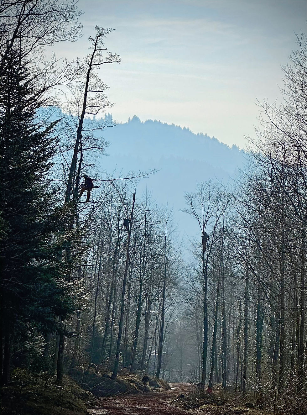 PHOTO-2025-02-23-21-05-06_edited