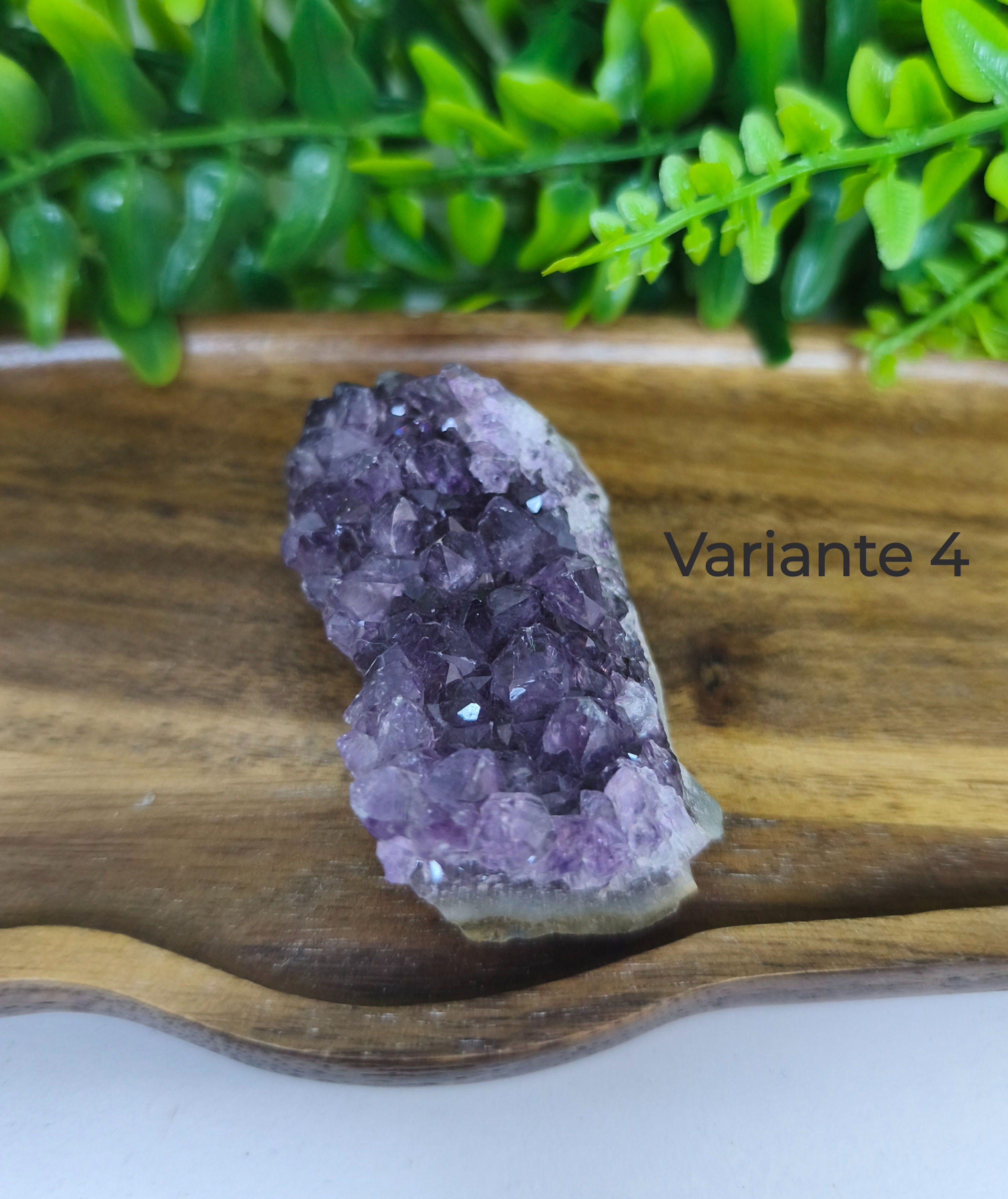 Amethyst Rohstein Cluster