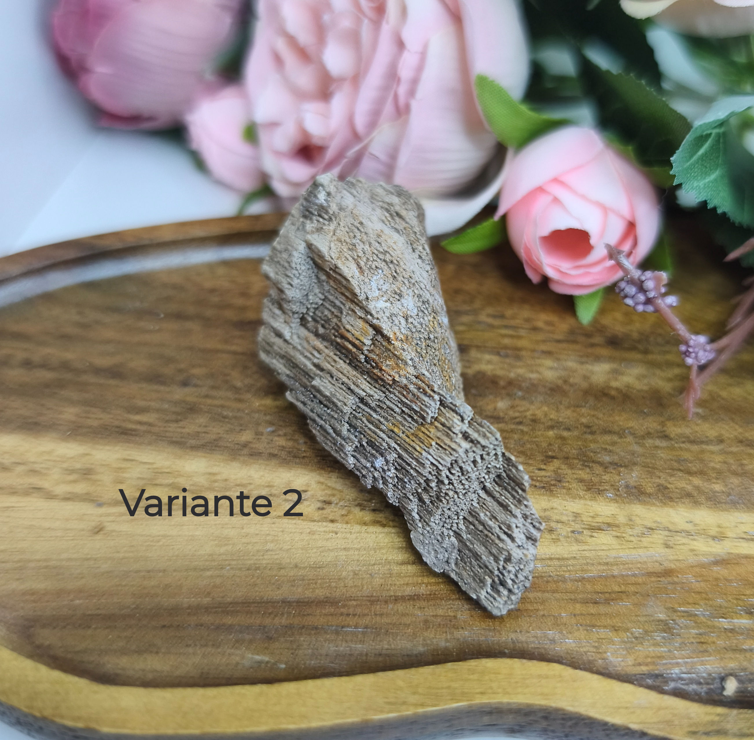 Versteinertes Holz
