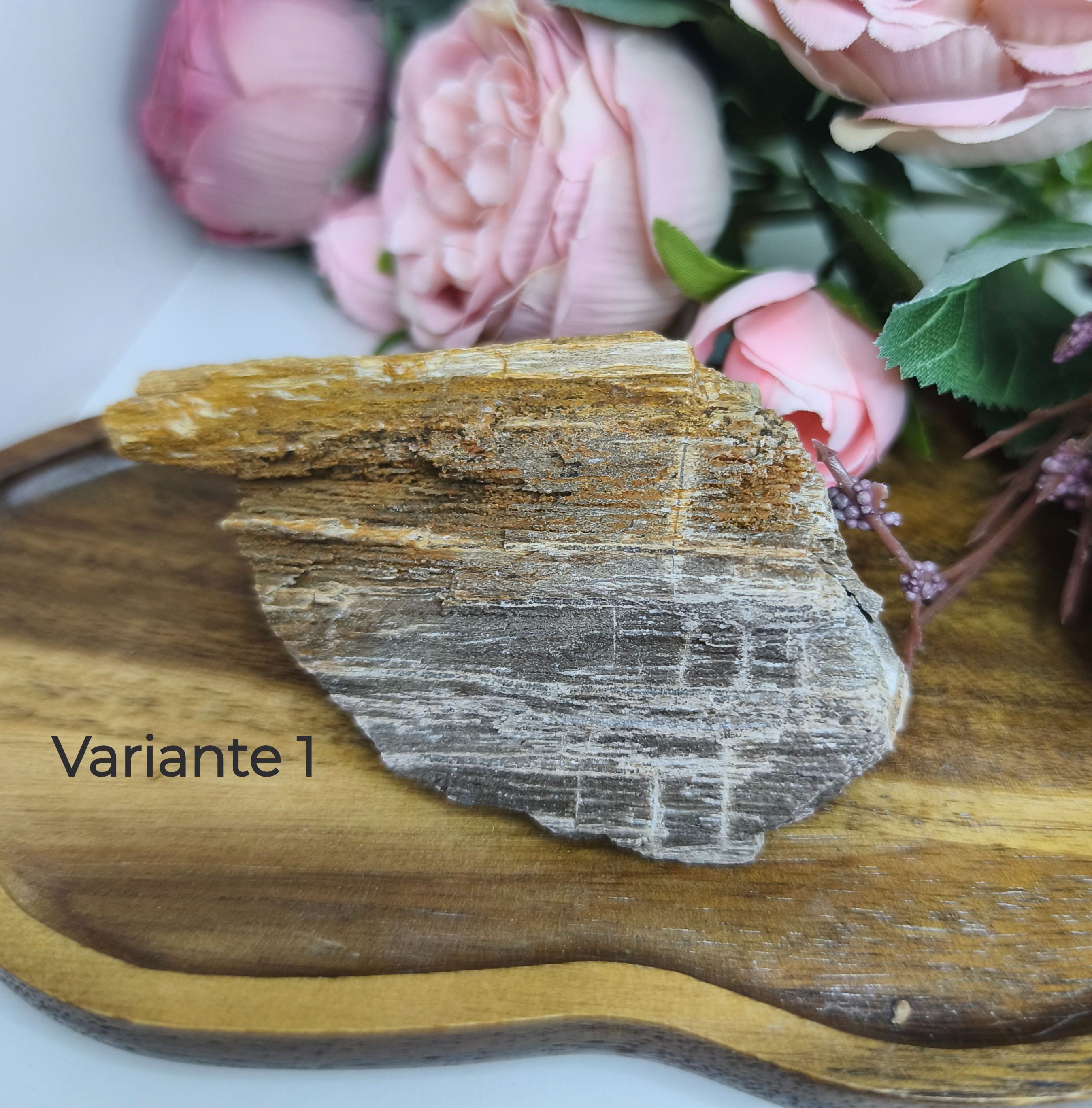 Versteinertes Holz