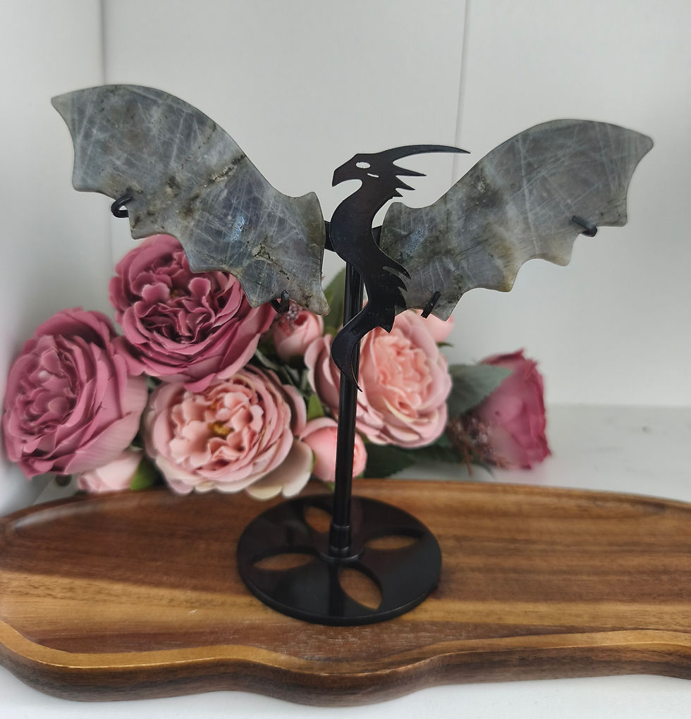 Labradorit Drache Flügel B Ware