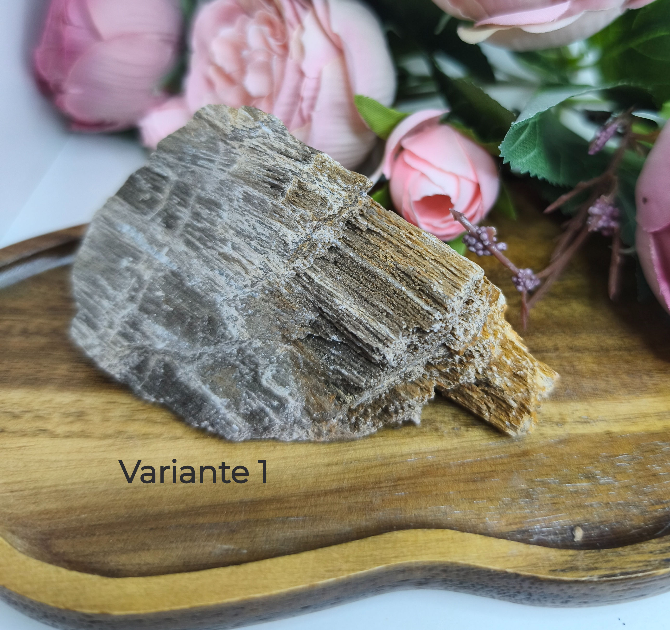 Versteinertes Holz