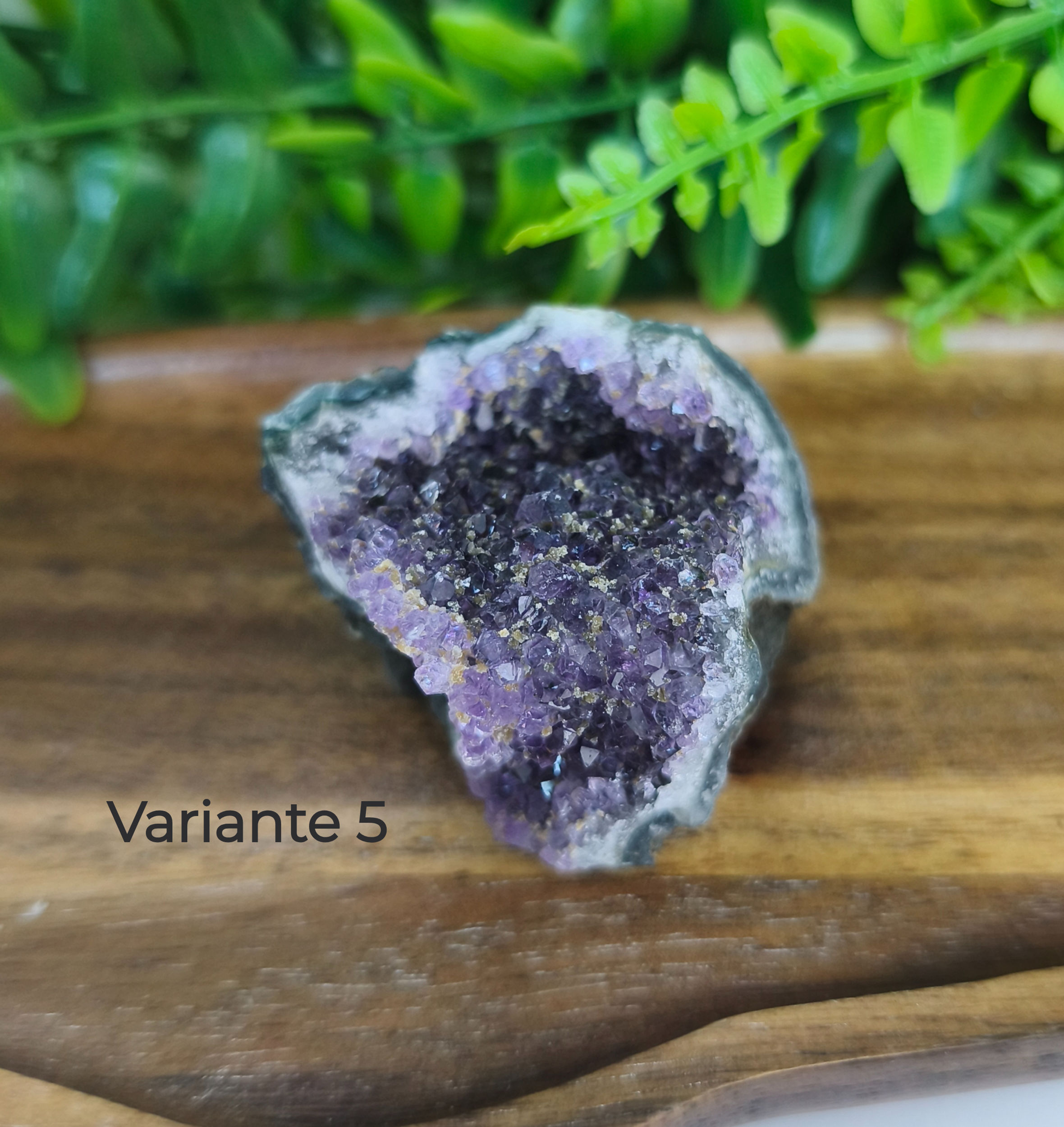 Amethyst Rohstein Cluster