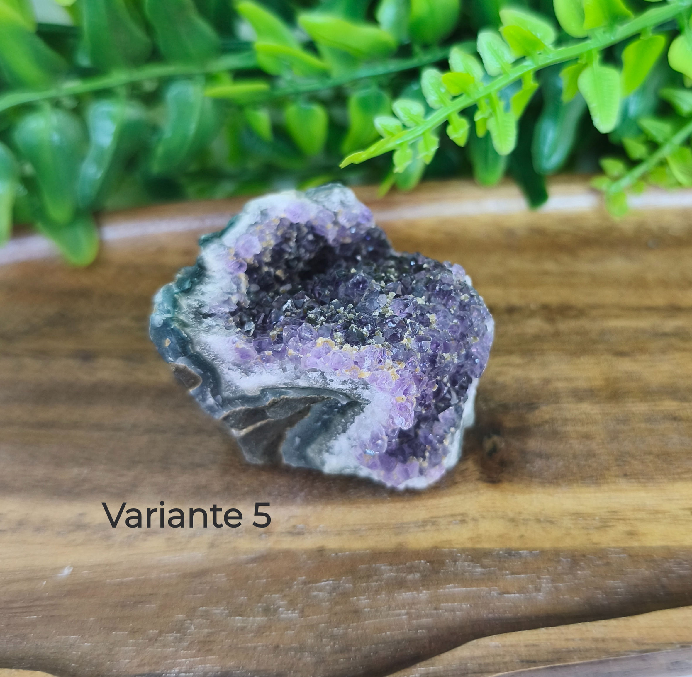 Amethyst Rohstein Cluster