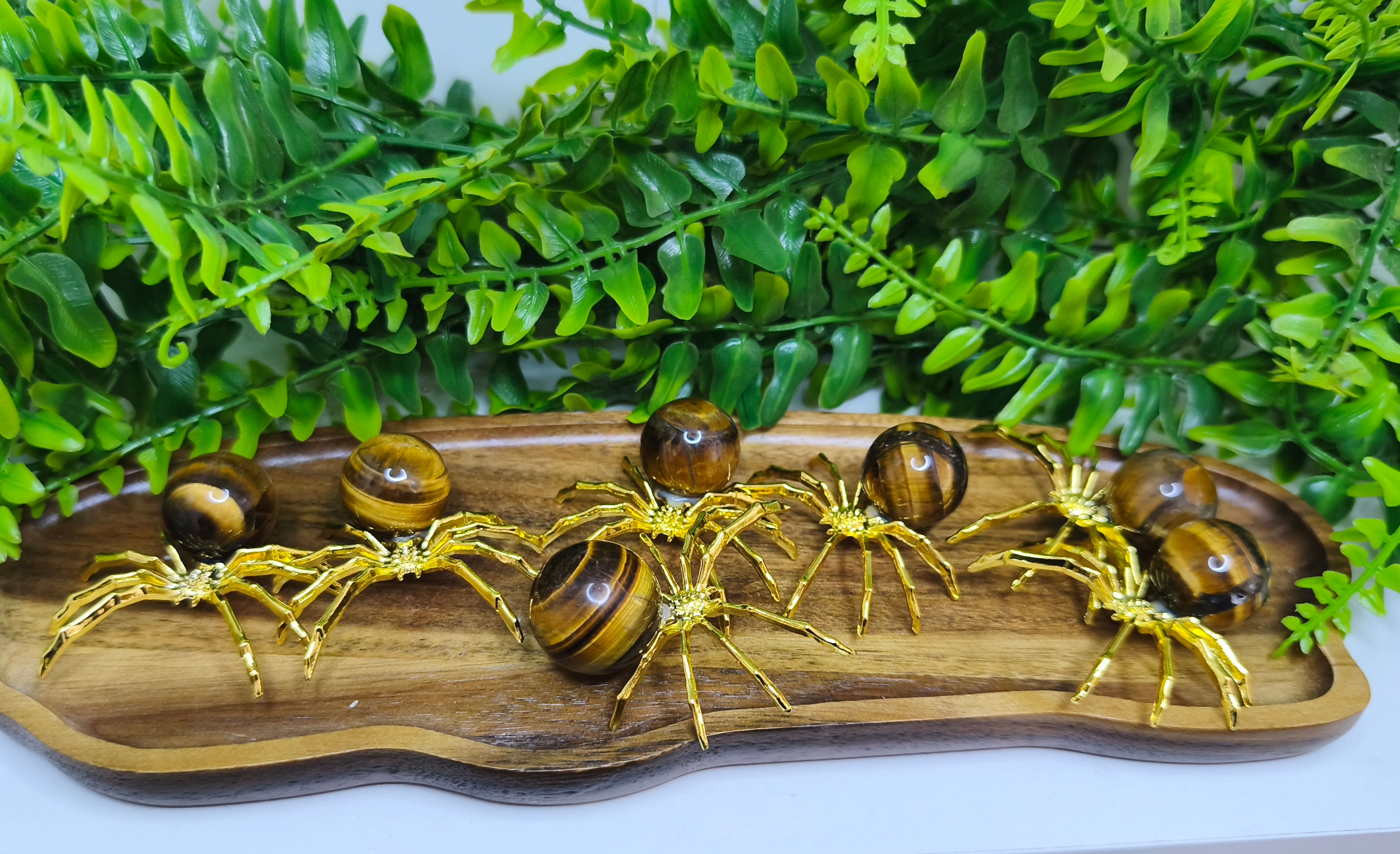 Tigerauge Kugel Spinne